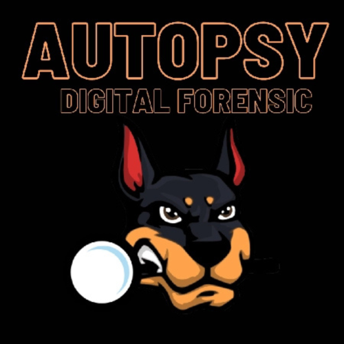 perito informatico